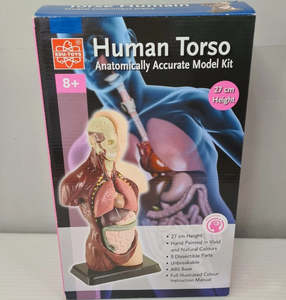 Human Body: Human Anatomy Model - Edu Toys