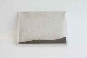 Iron filings in case