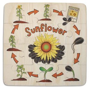 Sunflower Life Cycle 16pc puzzle - Kiwi Made Toys