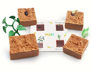 Life Cycle: Life Cycle - Plant