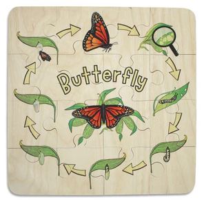 Butterfly Life Cycle 16pc puzzle - Kiwi Made Toys