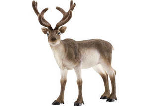 Reindeer - Schleich