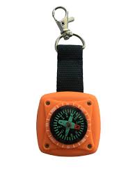 Physically Active: 3 in 1 Compass Torch - Discover Science