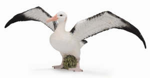 Blocks Accessories: Wandering Albatross - Collecta