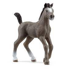 Selle Francais Foal- Schleich