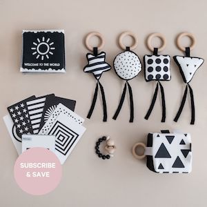 PlayBox Subscription 0-12 months