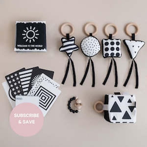 Products: Subscription 0-15 months