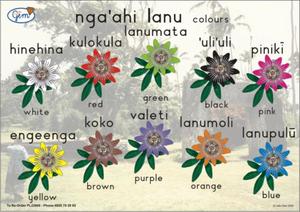 Products: Colours Poster Tongan - Play‘n’Learn – Educational Resources