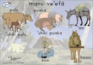 Products: Farm Animals Poster Tongan - Play‘n’Learn – Educational Resources