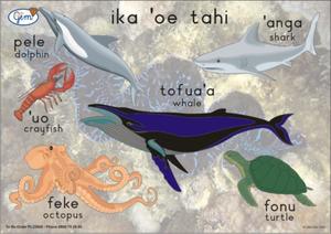 Big Fish Poster Tongan - Play‘n’Learn – Educational Resources