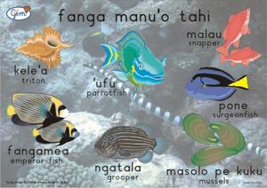 Products: Small Fish Poster Tongan - Play‘n’Learn – Educational Resources