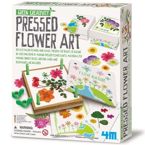 Green Creativity/Pressed Flower Art