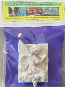 Pick N Paint Plaster Paris -  FAIRY (Handmade in NZ)