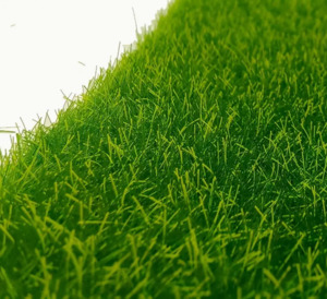 Fairies: Artificial Garden Grass Lawn Mini (1pc) - Fairy Garden