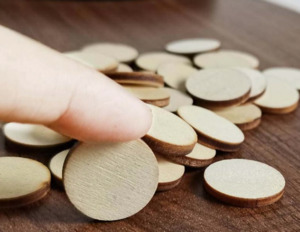 Wooden Miniature Rounds for Fairy Garden (10pcs)