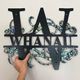 Whanau Paua