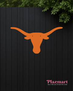New Art: Texas Longhorn
