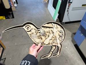 New Art: 3D Kiwiana Kiwi