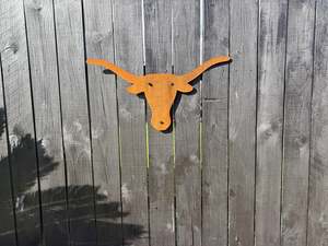 New Art: Texas Longhorn