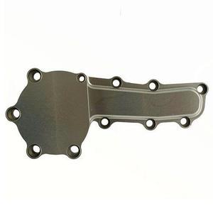 Yelsha D: Yelsha-D, RB20, RB25, RB26 Water Pump Blanking Plate, (SILVER)