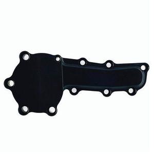 Yelsha-D, RB20, RB25, RB26 Water Pump Blanking Plate, (BLACK)