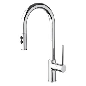 Paini Cox 2 Function Pull-Out Spray Sink Mixer Chrome