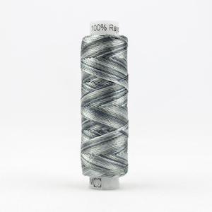 WonderFil Sue Spargo Razzle Variegated Thread - RZM12 Hook & Line