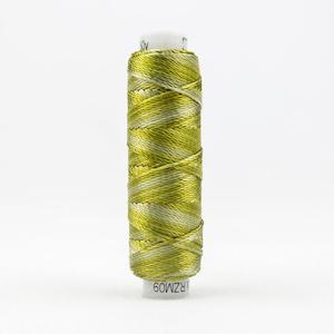 WonderFil Sue Spargo Razzle Variegated Thread - RZM09 Marsh Grass