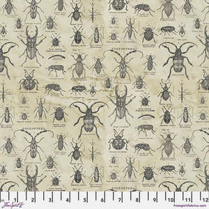 Laboratory By Tim Holtz: Specimen - Neutral