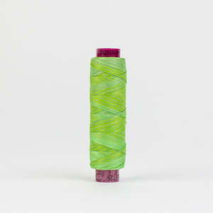 Wonderfil%E2%84%A2 Spagetti%E2%84%A2 Fruitti%E2%84%A2 12 Wt Cotton Threads: Fruitti™ FT29 Grass