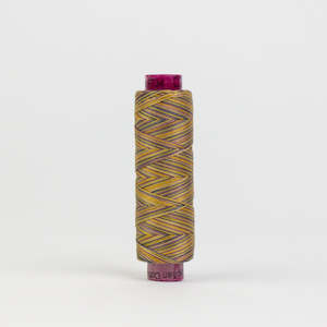 Wonderfil%E2%84%A2 Spagetti%E2%84%A2 Fruitti%E2%84%A2 12 Wt Cotton Threads: Fruitti™ FT34 Box Turtle