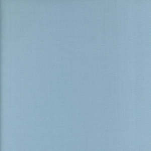 Peppered Cottons By Studio E: Peppered Cotton - Tidepool