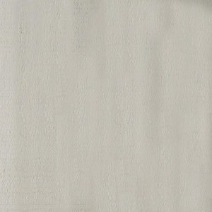 Cladding: CoreClad 2440x1220x12mm ACQ H3.2 Primed Textured