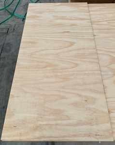 Plywood 1200x600x12mm UT C/D Grade F8