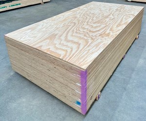 Plywood 2400x1200x18mm C/D NS UT