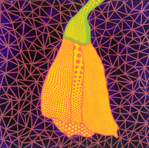 Flower Series: Kōwhai Poh�