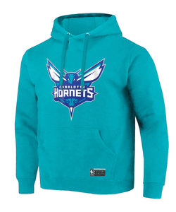 Boys Hoodies Sweats Jumpers: NBA Essentials Hornets Logo Youth Hoodie - Teal