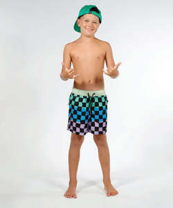 Boys Shorts: Hello Stranger Super Board Shorts - Multi Check