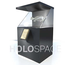 Hologram Displays: Museum HoloCase