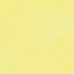 Sue Spargo: Lemon Zest Hand Dyed Velvet Fat 1/4