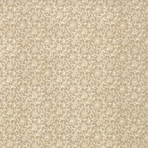 Favorites Basics Lunaire Oyster