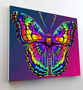 Arts Crafts Diy Kits: Paint by Numbers - Butterfly