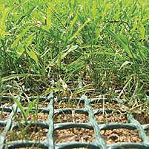 Extruded Mesh: TR Lawn - Reinforcing Mesh - 1m x 5m