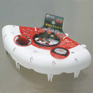 Garden Extras: Strawberry Support