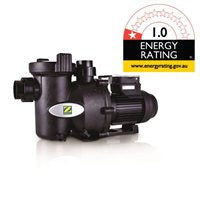 Zodiac Flopro 1.0HP Pump