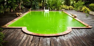 Green Pool Rescue Pack - Pool Water Specialists