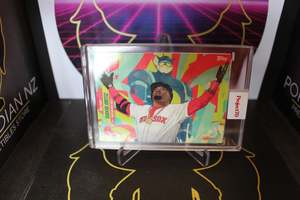 Miscellaneous Trading Cards: MLB - David Ortiz