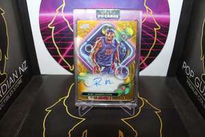 All: NBA - Rip Hamilton