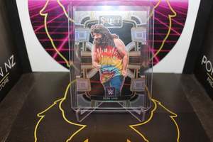 Miscellaneous Trading Cards: WWE- Dude Love
