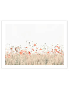 Christmas Gift Guide Art For Her: Poppy Field